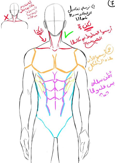 how to draw male body [9] | Male body drawing, Guy drawing, Body reference drawing