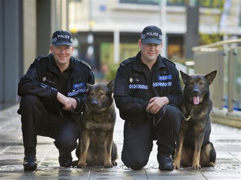 Lavorare con i cani: chi è, cosa fa e come diventare Police dog handler