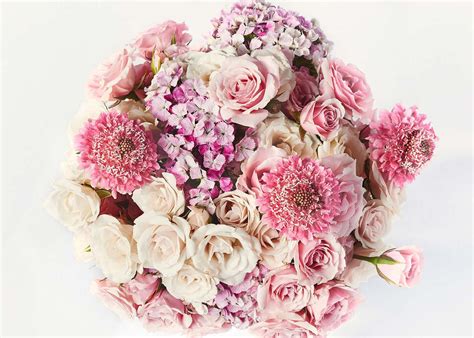 Pink Champagne Product Photo | Bouquet arrangements, Flowers, Flowers bouquet