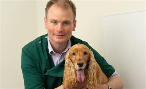 Pioneering Arthritis Treatment For Dogs is Rolled Out And Vets Call it ...