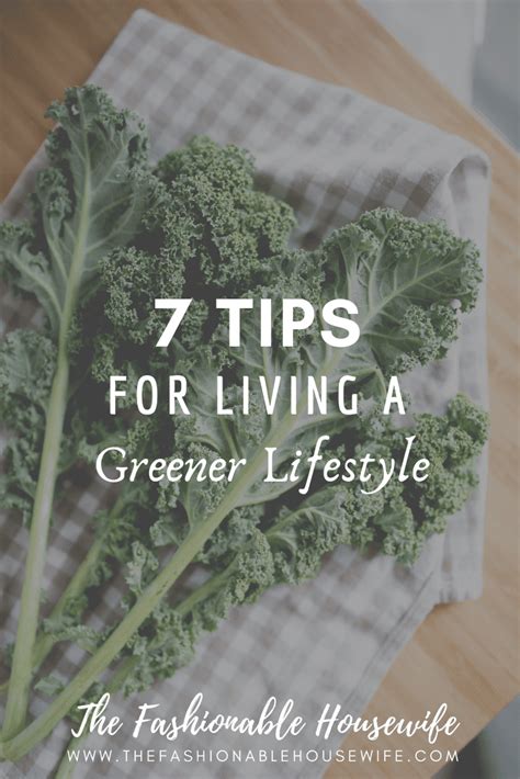 7 Tips For Living A Greener Lifestyle • The Fashionable Housewife