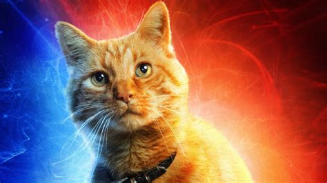 Everything you need to know about Goose, Captain Marvel's cat | Mashable