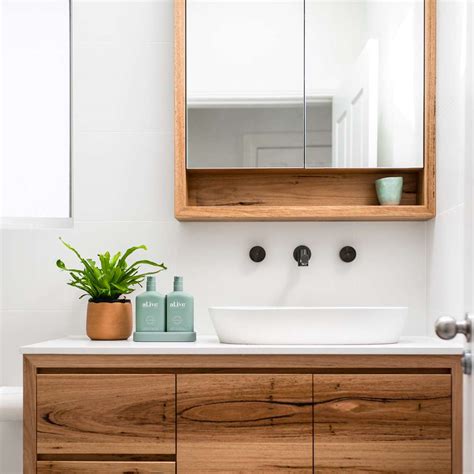 Bathroom Mirror Cabinets Sydney – Everything Bathroom