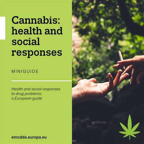 Cannabis: health and social responses | www.emcdda.europa.eu