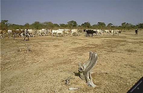 Soil Erosion- Causes and Prevention. - Follow Green Living