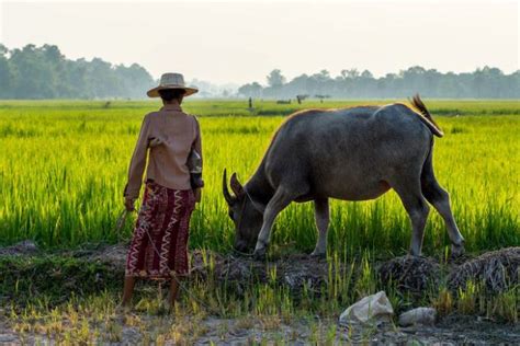 Cambodian Lifestyle | Daily Life in Cambodia