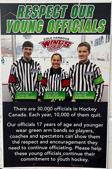 Young hockey officials wear green arm bands to reduce verbal abuse ...