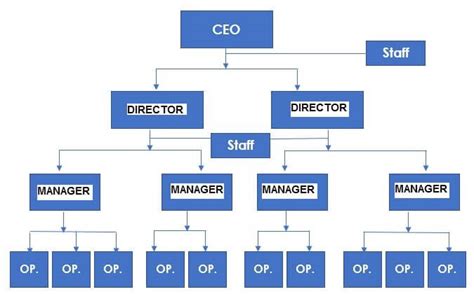 5 Organizational Structure Examples | Which to use?