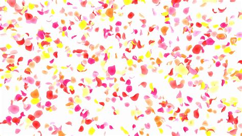 Falling Flower Petals after Effects Template Free Of Flower Petals Pink Falling A 4k Motion ...