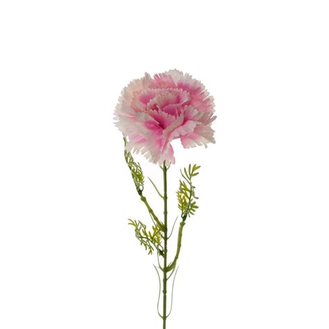 53CM carnation stem flower LY16619