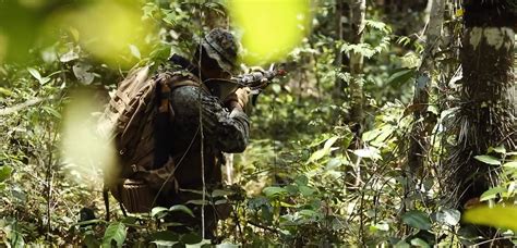 Watch: Marines' Jungle Training in Brazil | SOFREP