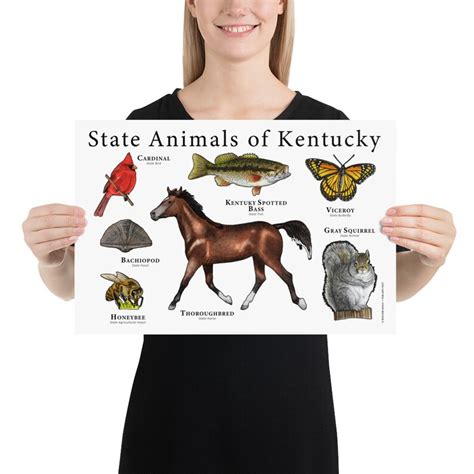 Kentucky State Animals Poster Print - Etsy