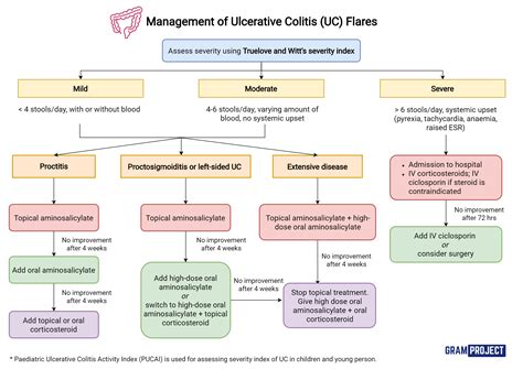 Management of Ulcerative Colitis (UC) Flares - Gram Project