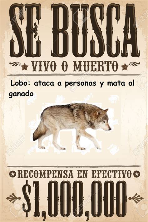 Imagen - Se busca lobo.png | Wiki Reino Animalia | FANDOM powered by Wikia