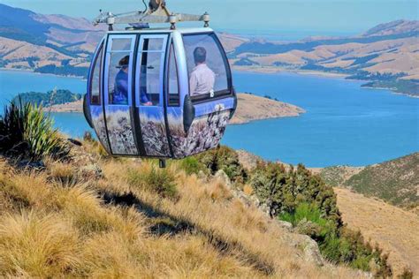 Christchurch Gondola Ride | GetYourGuide