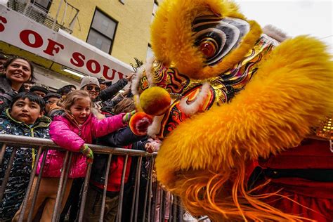 Views From Chinatown's 25th Annual Lunar New Year NYC - Diabolical Rabbit