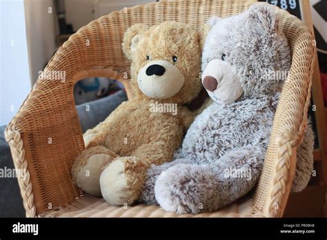 Teddy bear sitting on chair hi-res stock photography and images - Alamy