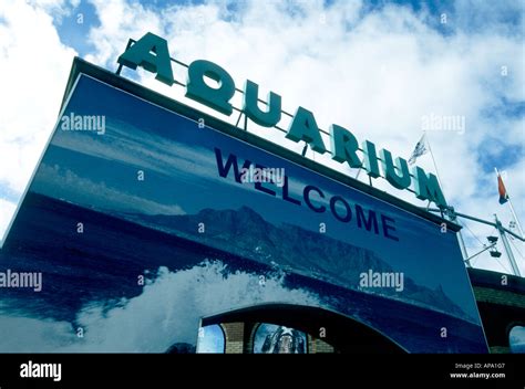 South Africa Two Oceans Aquarium V and A Waterfront Cape Town Stock ...