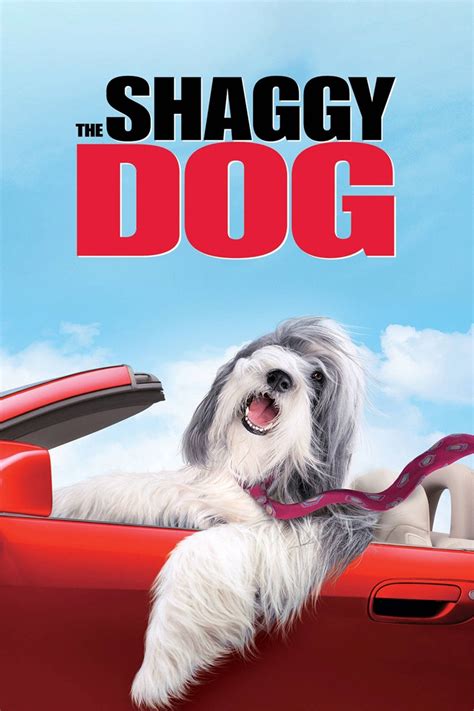 The Shaggy Dog - Rotten Tomatoes