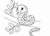 Cute Snake Outline Coloring Page For Kids Stock Vector  Illustration sketch template