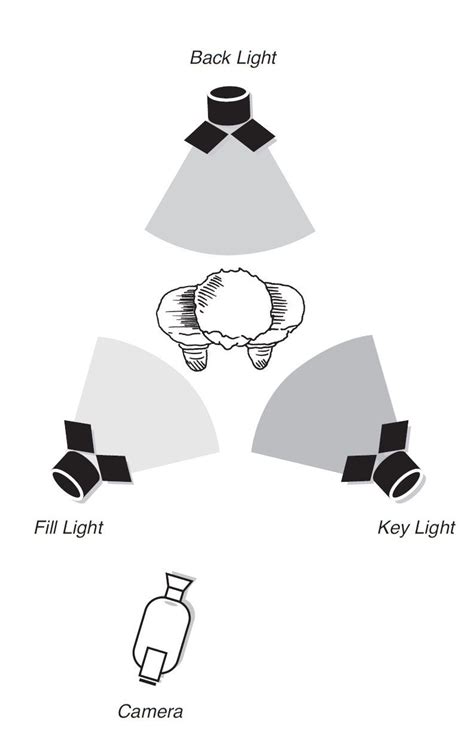 What Is Fill Light? Definition, Examples & Tutorials