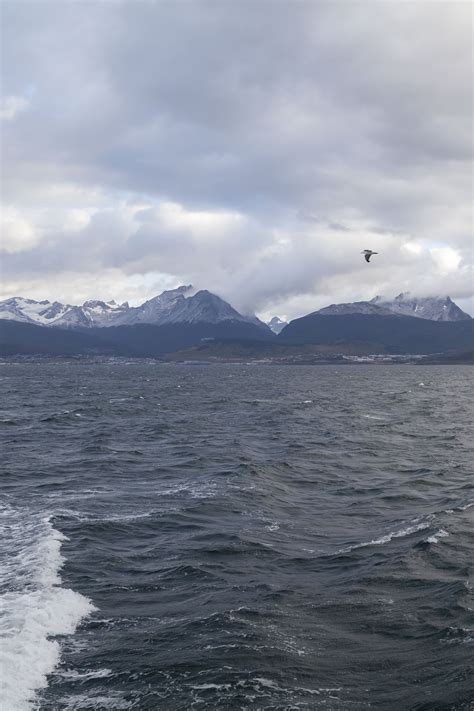 Beagle Channel Cruise (Part 2) | neOnbubble