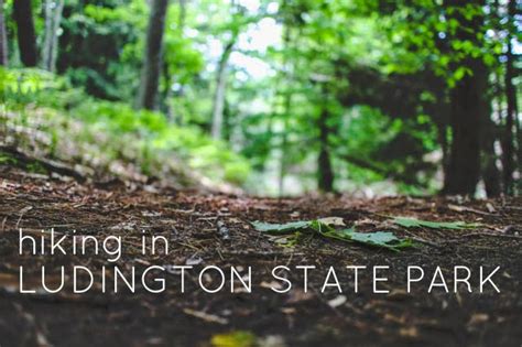 ink + adventure: hiking at Ludington State Park