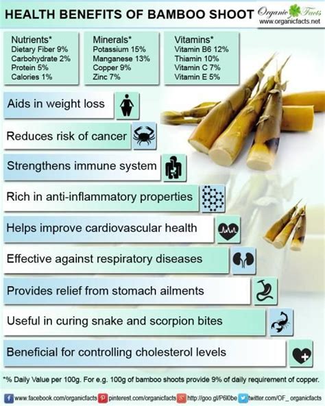 Bamboo Shoot for Kidney Stones: An Effective Natural Remedy? - PlantHD