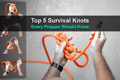 Top 5 Survival Knots Every Prepper Should Know