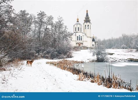 Beautiful White Church Near the Lake in Winter Stock Photo - Image of ...