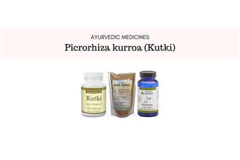 Picrorhiza Kurroa a.k.a Kutki – Uses, Dosage And Side Effects