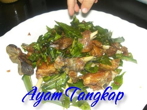 Mari Singgah: Ayam Tangkap