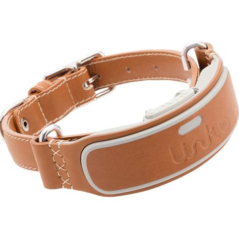 Best Buy: LINK AKC Smart Dog Classic Leather Collar (Medium) KITTN02