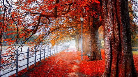 Autumn Park Pathway 4K Ultra HD Wallpaper