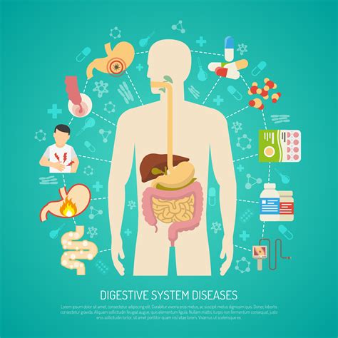 Digestive System Diseases Illustration 479522 Vector Art at Vecteezy