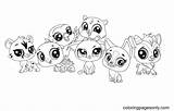 Littlest Pet Shop Coloring Pages  sketch template