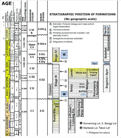 Simplified summary of the stratigraphic units discussed. | Download ...