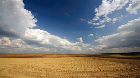 Grain Field Vojvodina Serbia WQHD 1440p Wallpaper | Pixelz