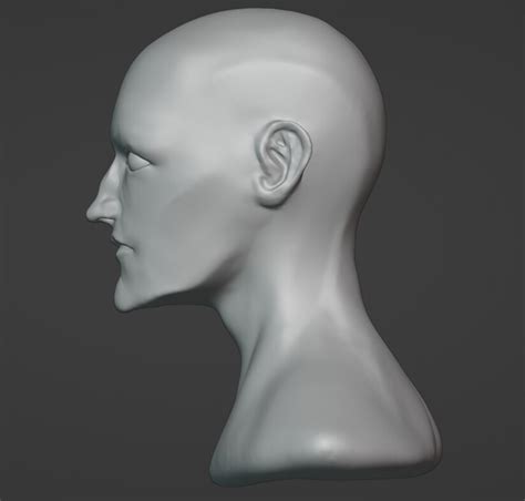 Character Sculpting Help - Focused Critiques - Blender Artists Community