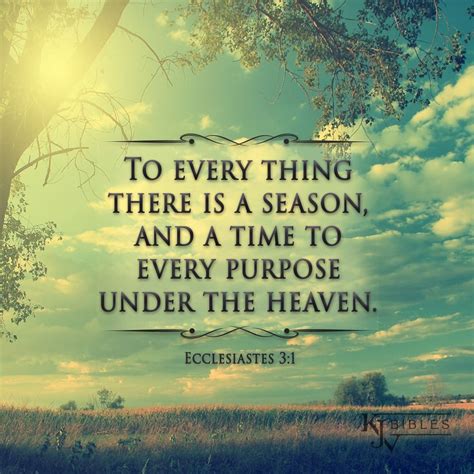 To Every Thing There Is a Season - Ecclesiastes 3:1 KJV