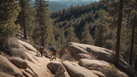 Exploring the Great Outdoors: A Guide to Big Bear Hiking Trails - Joey Journeys