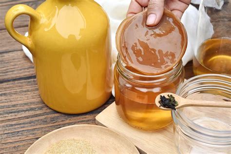 The 7 BEST Kombucha Starter Kits For Easy Home Brewing | My Fermented Foods