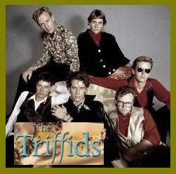 THE DOCTOR IS IN: The Triffids