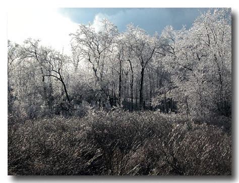 Ice Storm - Michigan Saturday April 5, 2003