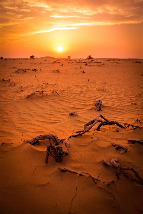 Dubai Desert sun set Dubai Desert, Desert Sun, Celestial, Sunset, Outdoor, Outdoors, Sunsets ...