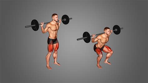 5 Effective Barbell Squat Alternatives (With Pictures!) - Inspire US