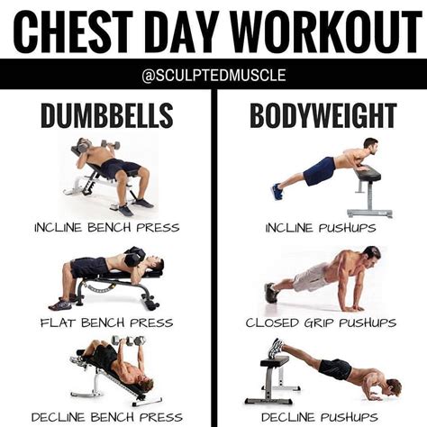 Chest And Back Day Exercises at Scott Goldenberg blog