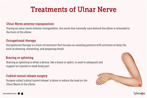 Ulnar Nerve (Human Anatomy): Image, Functions, Diseases and Treatments