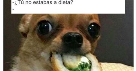 28 Memes de perros que te harán derramar lágrimas de risa | Image drôle ...