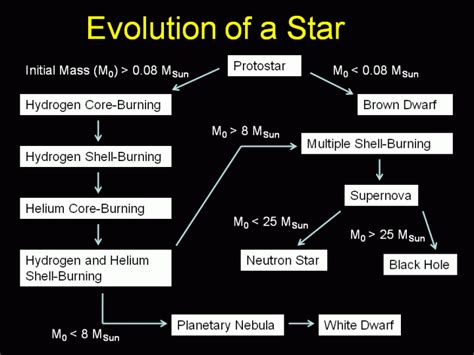 Evolution of a Star - Worksheets Library